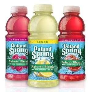 Poland Spring Natures Blends Spring Water & Real Juice Variety Pack 