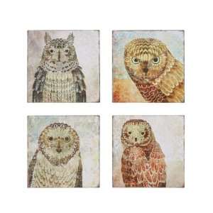  Creative Co op Owl Tin Wall Plaques, Set of 4 Kitchen 