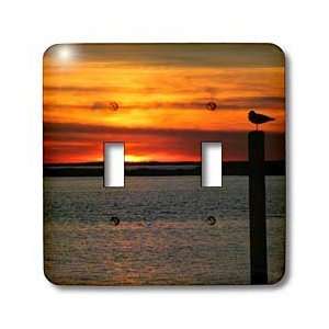 Bob Molchan Photography Sunsets   Sunset Orance Ocean Bird 