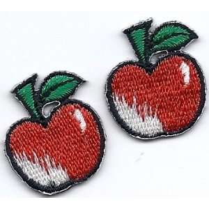  BOGO   Fruit/Apples Embroidered Iron On Applique 