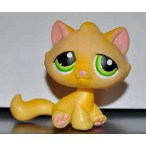 Kitten #94 (Cat, Sitting, Orange, Green Eyes, No White Paint on Paws 