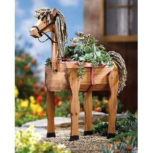  Wooden Pony Garden Planter Box 