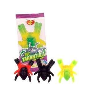  Jelly Belly Gummy Pet Tarantula 
