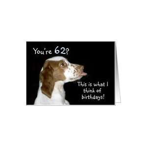 Brittany Spaniel Birthday 62 Card