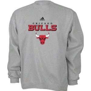 Chicago Bulls Youth adidas True Logo Fleece Crewneck Sweatshirt 