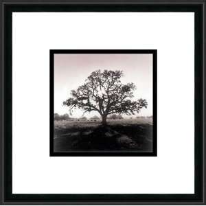  Oak Tree, Sunrise by Ansel Adams   Framed Artwork