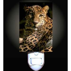  Sunlit Leopard Decorative Night Light: Home Improvement