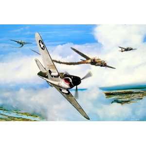 Sky   Marc Stewart   P 40 Warhawk 23rd Fighter Group Flying Tigers 