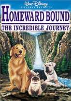 KidCrunch Store   Homeward Bound   The Incredible Journey