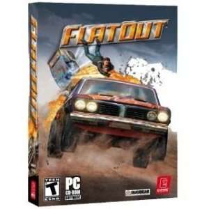  Flatout: Electronics