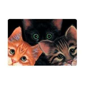  Peeping Toms Cats Kittens Placemat Feeding Mat Pet 