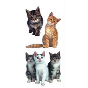  Playful Kittens Scrapbook Stickers Arts, Crafts & Sewing