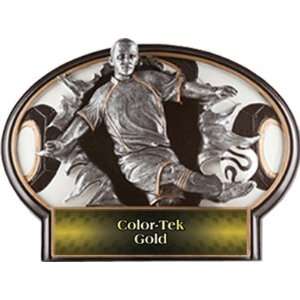 Soccerball Burst Out Resin Mens Trophies GOLD COLOR TEK PLATE 5.5 X 7 