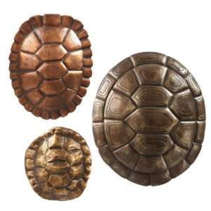   Shell Wall Decor (Set of 3) Polystone by Midwest CBK