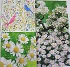Colourful Life Decoupage paper Napkins WHITE PACK items in Maura 