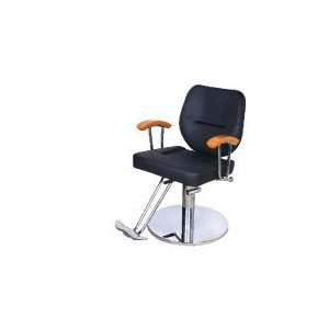  fys 155 Salon Styling Chair: Office Products