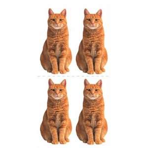  Red Tabby Cat Scrapbook Stickers: Office Products