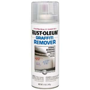   260844 11 Ounce Spray Paint Graffiti Remover, Clear: Home Improvement