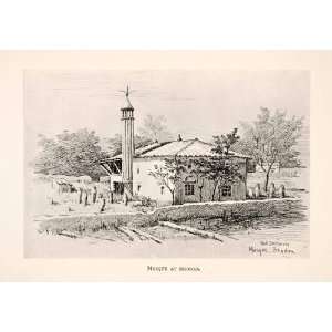  1905 Print Mary Edith Durham Mosque Skodra Shkoder Albania 