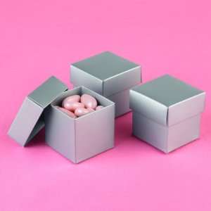  Silver Shimmer 2 piece Favor Boxes: Health & Personal Care