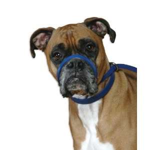  Dog Head Collar Training Harness Medium
