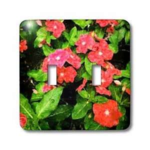     Flat Rose Impressions   Light Switch Covers   double toggle switch