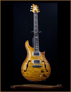 Paul Reed Smith PRS Private Stock Dweezil Zappa Limited Edition  