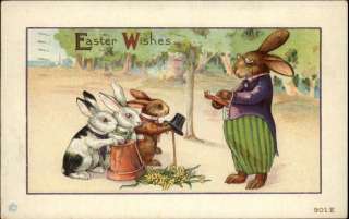 EASTER FANTASY Fancy Rabbit Reading to Bunnies c1910 PC  