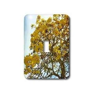   Trees   Big Yellow   Light Switch Covers   single toggle switch