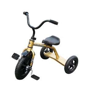  Colorado Buffaloes Tricycle: Sports & Outdoors