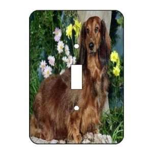  Standard Longhair Dachshund Light Switch Plate Cover 