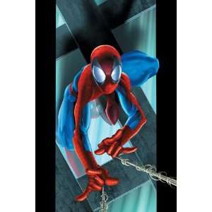   Spider Man #53 Cover Spider Man by Mark Bagley, 48x72
