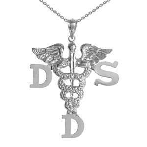  NursingPin   Dentist DDS Charm with Necklace in Silver 
