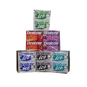 Dentyne Ice Combination Pack Grocery & Gourmet Food