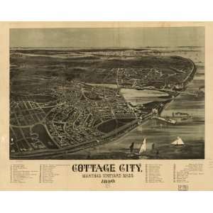  1890 Oak Bluffs Massachusetts, Birds eye map