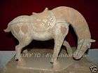 exquisite lift step Tang Painted Pottery war horse  