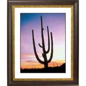  Saguaro Cactus & Sunrise Gold Bronze Frame Giclee Wall Art 
