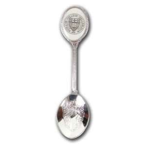 Wellesley College Blue Prides Spoon With Seal Souvenir  