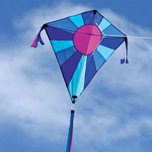    Into The Wind Celestial Moonbeam Diamond Kite Toys & Games