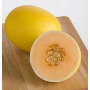  Davids Melon Honey Yellow 20 Seeds per Packet: Patio 
