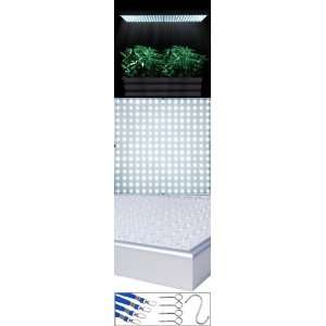   6000K LED Grow Light Indoor Plants & Aquarium: Patio, Lawn & Garden