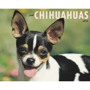  Just Chihuahuas 2010 Wall Calendar