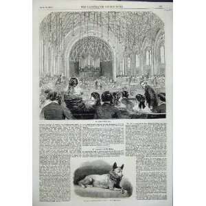  1858 St JamesS Music Hall Esquimaux Dog Etah Print