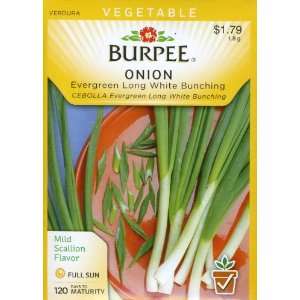  Burpee 66373 Onion Evergreen Long White Bunching Seed 