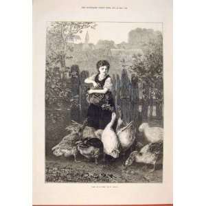  One Time Knaus Girl Geese Feeding Old Print 1873 Garden 
