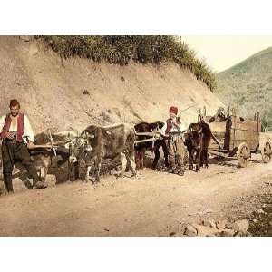  Vintage Travel Poster   Peasant wagon Bosnia Austro Hungary 