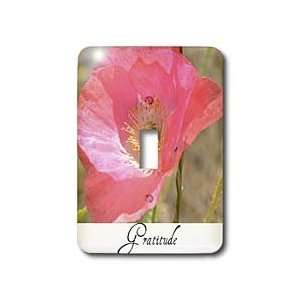   Words   Light Switch Covers   single toggle switch