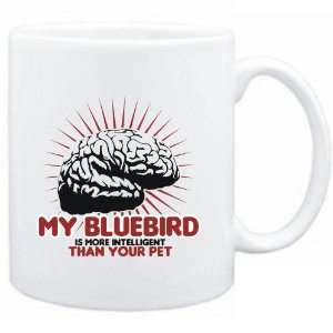  Mug White  My Bluebird is more intelligent than your pet 