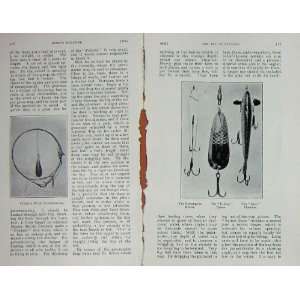   1908 Angling Fishing Flies HardyS Spoon Spinner Spoon