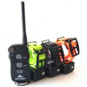  D.T. Systems EZT 1003 Remote Dog Trainer: Sports 